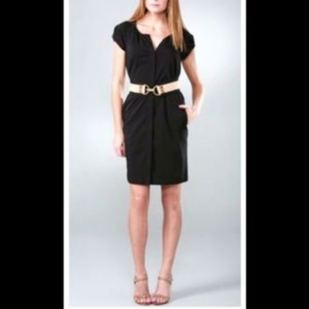 Diane von Furstenberg "Luisa" Dress stretch poplin